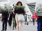 Belgian artist creates 'portable oasis', Covid-free bubble to stroll in Brussels