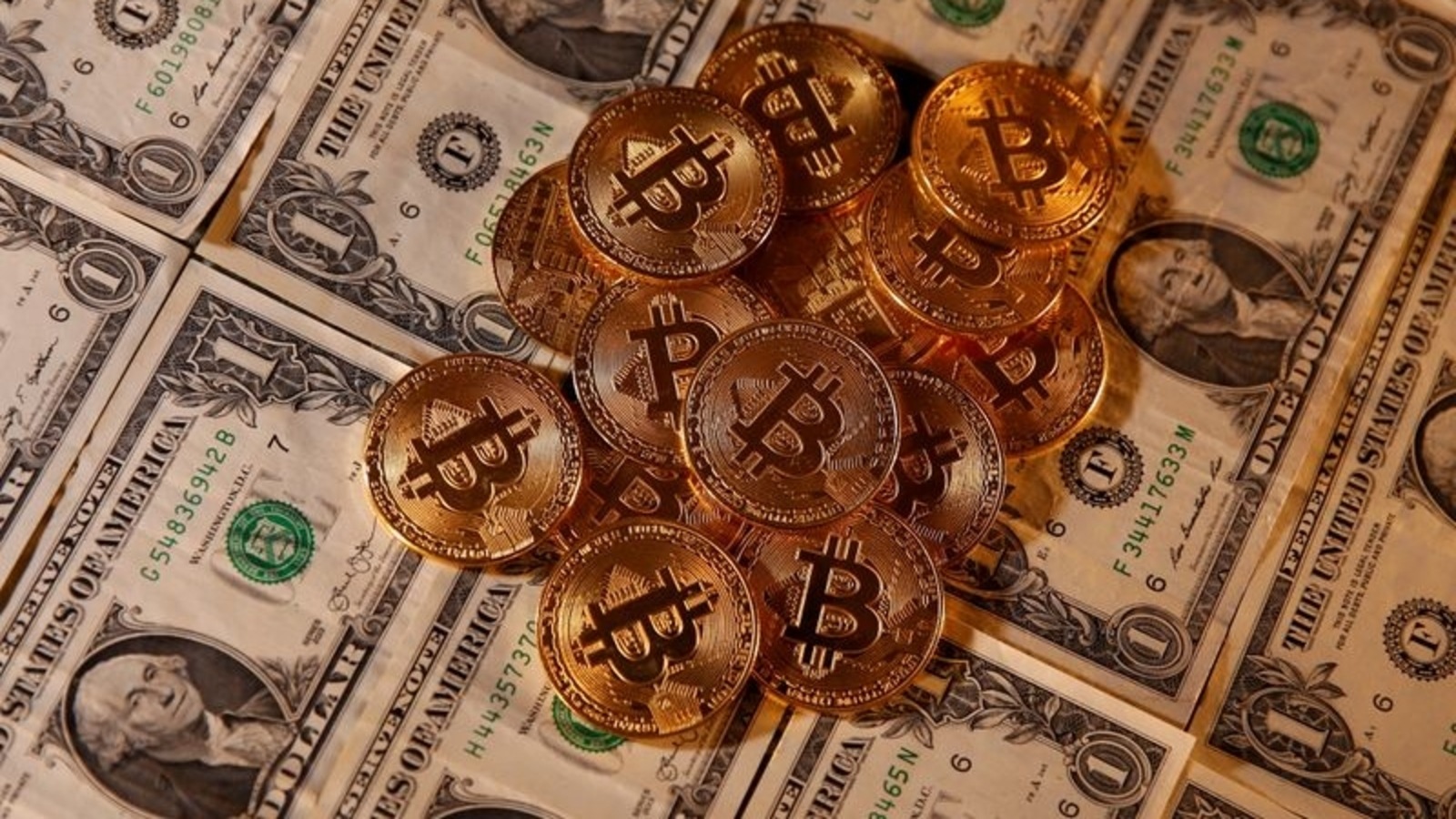 14 bitcoins