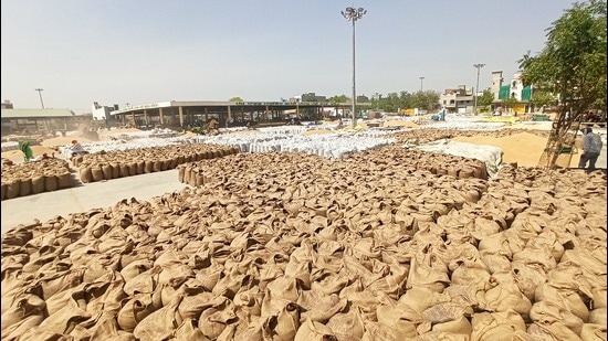 Wheat stock in Bathinda grain market on Monday. (Sanjeev Kumar/HT) Wheat stock in Bathinda grain market on Monday. (Sanjeev Kumar/HT)