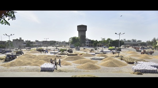 A view of the Bhagtanwala grain market in Amritsar on Monday. (Sameer Sehgal/HT) A view of the Bhagtanwala grain market in Amritsar on Monday. (Sameer Sehgal/HT)