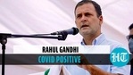 Rahul Gandhi tests positive for Covid-19 Rahul Gandhi tests positive for Covid-19
