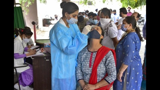 A health worker collecting a swab sample at civil surgeon’s office in Ludhiana on Tuesday. (Gurpreet Singh/HT) A health worker collecting a swab sample at civil surgeon’s office in Ludhiana on Tuesday. (Gurpreet Singh/HT)