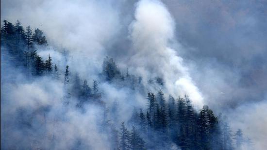 Deficient rainfall, little moisture in soil and man-made blazes are responsible for the fire incidents. (HT File Photo) Deficient rainfall, little moisture in soil and man-made blazes are responsible for the fire incidents. (HT File Photo)