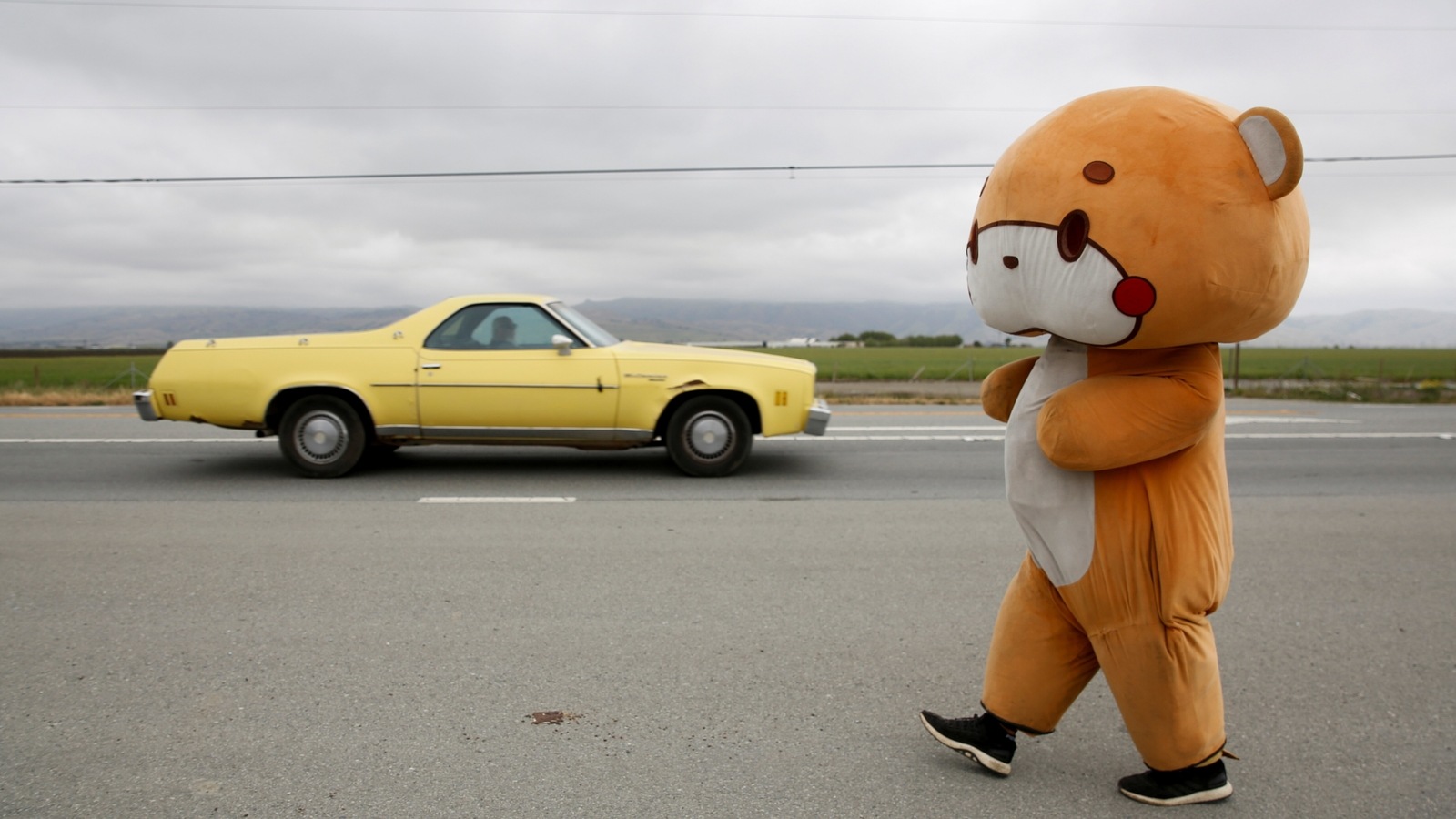 Man in teddy sales bear suit