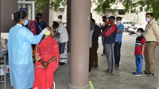 A health worker collects swab sample at the civil surgeon office in Ludhiana on Thursday. (Harsimar Pal Singh/HT) A health worker collects swab sample at the civil surgeon office in Ludhiana on Thursday. (Harsimar Pal Singh/HT)