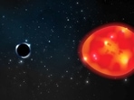Black holes are extraordinarily dense objects that possess gravitational pulls so strong that not even light can escape. 'The Unicorn' falls into what the researchers called a "mass gap" between the largest-known neutron stars - objects similarly formed by a large star's collapse. Black holes are extraordinarily dense objects that possess gravitational pulls so strong that not even light can escape. 'The Unicorn' falls into what the researchers called a "mass gap" between the largest-known neutron stars - objects similarly formed by a large star's collapse.