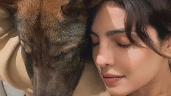 Priyanka Chopra has shared a photo with her dog Gino. Priyanka Chopra has shared a photo with her dog Gino.