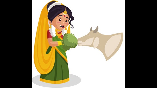 ‘The story of how I tried to feed a cow to get a husband is funny now, but the hurt of it all still lingers,’ Mangharam says. (Shutterstock)