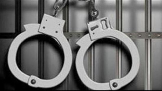 2 arrested for snatching bid that claimed woman’s life in Amritsar