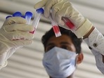 A health worker testing samples collected for Covid-19 testing at Sector 31 Polyclinic in Delhi's neighbouring city of Gurugram. (Vipin Kumar / Hindustan Times) A health worker testing samples collected for Covid-19 testing at Sector 31 Polyclinic in Delhi's neighbouring city of Gurugram. (Vipin Kumar / Hindustan Times)