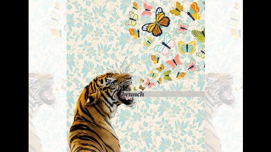 For tiger spotters, it’s all about the striped animal, the rest of the jungle is a mere prop (Parth Garg) For tiger spotters, it’s all about the striped animal, the rest of the jungle is a mere prop (Parth Garg)