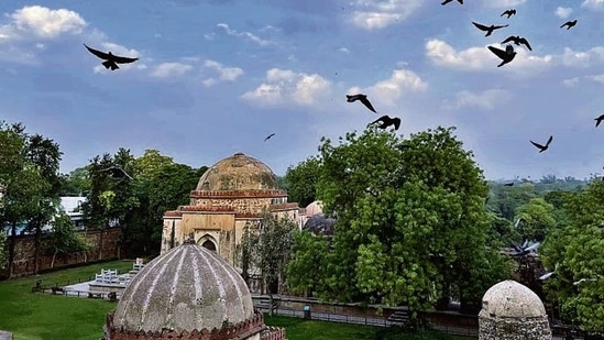 The air is filled with the incessant sound of ambulance sirens. (Mayank Austen Soofi) The air is filled with the incessant sound of ambulance sirens. (Mayank Austen Soofi)