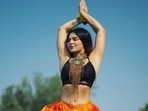 Aashka Goradia rose to prominence with the show Kkusum.