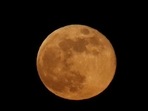 There are many other names for this moon such as Sprouting Grass Moon, the Egg Moon, the Paschal moon, and the Fish Moon.(Reuters File)