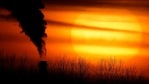 “We need to do everything possible to lower greenhouse gas emissions faster than planned so far,” Svenja Schulze, Germany's environment minister, said.(AP | Representational image) “We need to do everything possible to lower greenhouse gas emissions faster than planned so far,” Svenja Schulze, Germany's environment minister, said.(AP | Representational image)