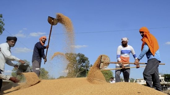 Workers scatter wheat for drying after heavy rains in the city, at a grain market in Amritsar. (PTI Photo) Workers scatter wheat for drying after heavy rains in the city, at a grain market in Amritsar. (PTI Photo)