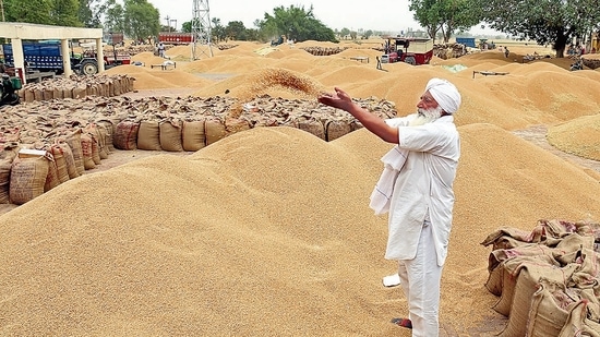 Farmers have already harvested a total of 82% of wheat, the key winter staple, said an agriculture ministry official who asked not to be named. (HT file photo) Farmers have already harvested a total of 82% of wheat, the key winter staple, said an agriculture ministry official who asked not to be named. (HT file photo)