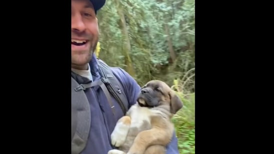 The image shows Lee Asher carrying the sleepy puppy in his arms.(Instagram/@theasherhouse )
