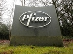 The Pfizer logo is seen at their UK commercial headquarters in Walton Oaks, Britain. 