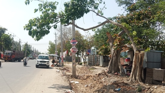 The fine was imposed on Chhote Lal Bhilala, 30, a resident of Silwani village of Raisen district, who was spotted cutting two sagaon (or sagwan; teak) trees at Singori Sanctuary on January 5. The fine was imposed on Chhote Lal Bhilala, 30, a resident of Silwani village of Raisen district, who was spotted cutting two sagaon (or sagwan; teak) trees at Singori Sanctuary on January 5.