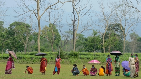 Voters in a queue at a polling station to cast their ballot during the fifth phase of assembly elections in Mohorgon Tea estate on the outskirts of Siliguri on April 17. The BJP is looking to wrest power from the TMC, which is looking for its third consecutive term. Polling for two seats will be held on May 16 due to the death of two candidates because of Covid-19(Diptendu Dutta / AFP)