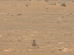 This Thursday, April 29, 2021 image from video made available by NASA shows the Mars Ingenuity helicopter on the surface of the planet.(AP Photo ) This Thursday, April 29, 2021 image from video made available by NASA shows the Mars Ingenuity helicopter on the surface of the planet.(AP Photo )