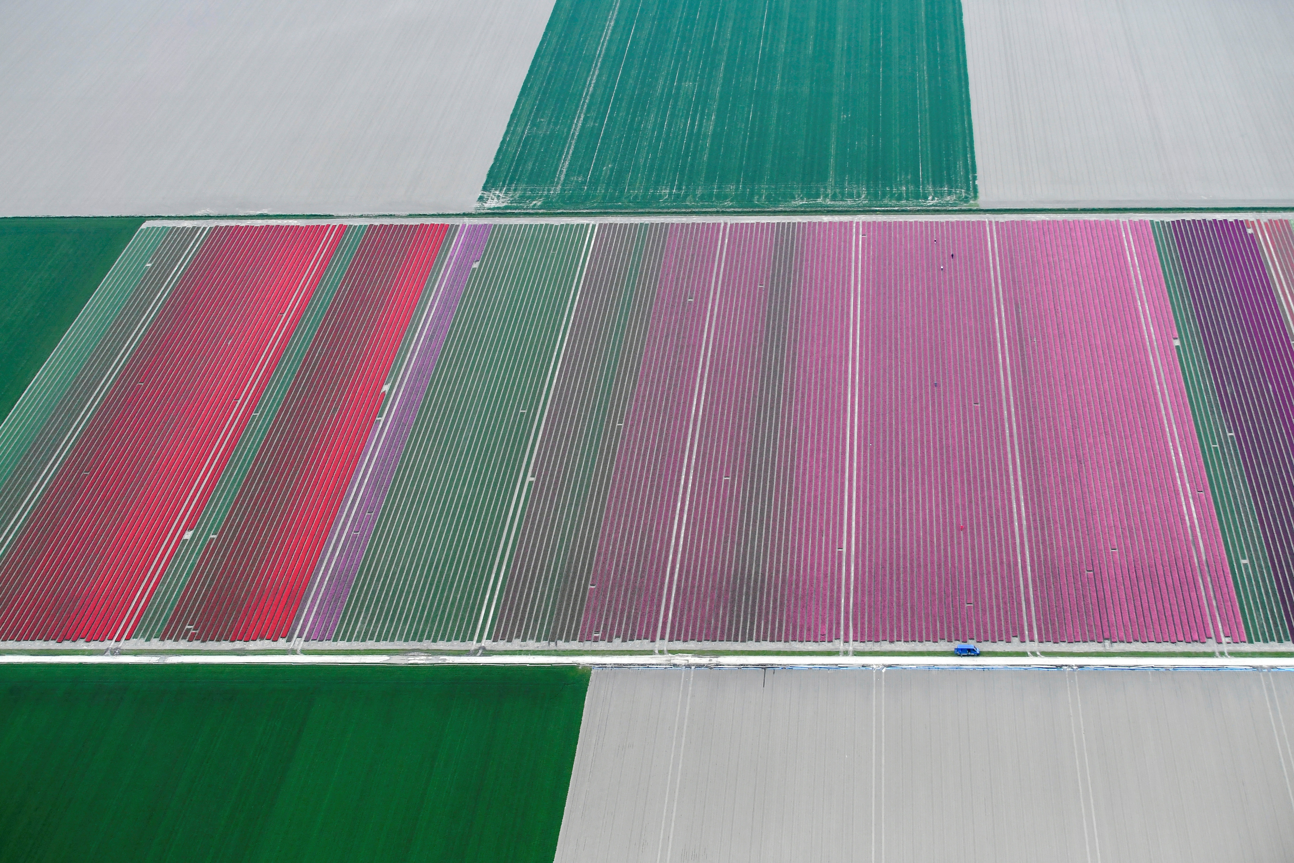 Luchtfoto van bloemenvelden in Lyseh (Reuters)