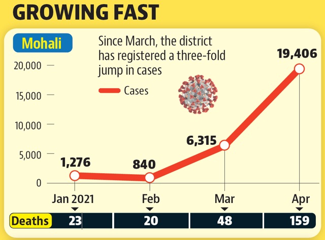 40% of Mohali’s infections came in April 40% of Mohali’s infections came in April
