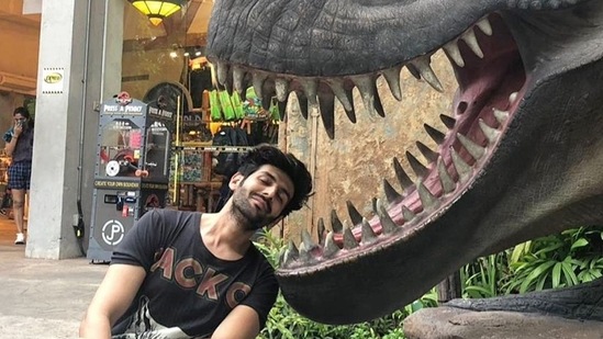 Kartik Aaryan shared a message for his fans on keeping safe during the pandemic.