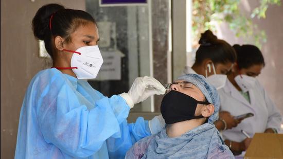 A health worker collecting swab samples for Covid testing at the civil surgeon’s office in Ludhiana on Sunday. (Harsimar Pal Singh/HT) A health worker collecting swab samples for Covid testing at the civil surgeon’s office in Ludhiana on Sunday. (Harsimar Pal Singh/HT)