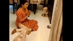 The image shows the woman praying as the doggos watch her.(Twitter@mathur_vaishali) The image shows the woman praying as the doggos watch her.(Twitter@mathur_vaishali)