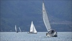 More than 250 yachts and rowboats line up on Lake Geneva in border art project(Twitter/Reuters) More than 250 yachts and rowboats line up on Lake Geneva in border art project(Twitter/Reuters)