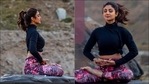 Monday motivation: Shilpa Shetty shows Padmasana is perfect 'tune out' in chaos(Instagram/simplesoulfulapp/theshilpashetty) Monday motivation: Shilpa Shetty shows Padmasana is perfect 'tune out' in chaos(Instagram/simplesoulfulapp/theshilpashetty)