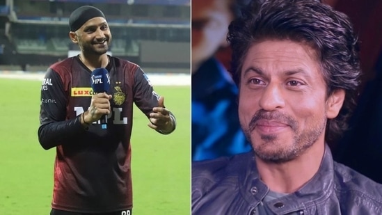 KKR bowler Harbhajan Singh (L), KKR co-owner Shah Rukh Khan(HT Collage)