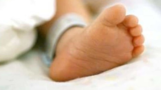 Nearly 63% of votes cast in the May 1 election supported Lubbock's abortion measure, the county elections office said Monday.(HT) Nearly 63% of votes cast in the May 1 election supported Lubbock's abortion measure, the county elections office said Monday.(HT)