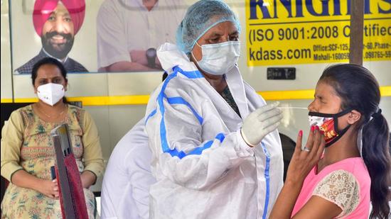 A health worker collecting a swab sample during a testing camp at Sarabha Nagar in Ludhiana on Tuesday. (Gurpreet Singh/HT) A health worker collecting a swab sample during a testing camp at Sarabha Nagar in Ludhiana on Tuesday. (Gurpreet Singh/HT)
