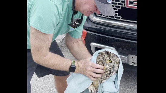 The image shows a volunteer rescuing the owl from the truck.(Facebook/@Conservancy of Southwest Florida)