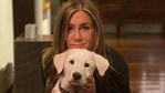 Jennifer Aniston has spread awareness about the Covid-19 situation in India. Jennifer Aniston has spread awareness about the Covid-19 situation in India.