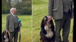 The image shows Irish President Michael D Higgins giving scratches to Misneach.(Twitter/@SineadCrowley) The image shows Irish President Michael D Higgins giving scratches to Misneach.(Twitter/@SineadCrowley)