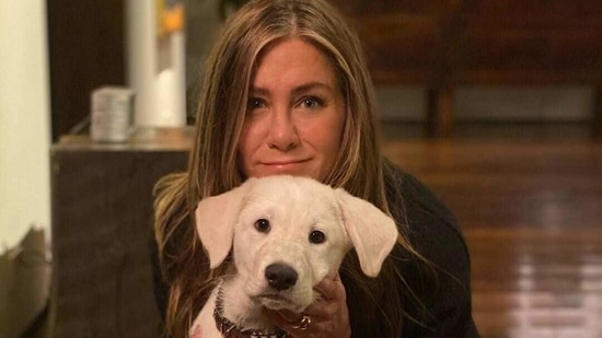 Jennifer Aniston has spread awareness about the Covid-19 situation in India. Jennifer Aniston has spread awareness about the Covid-19 situation in India.