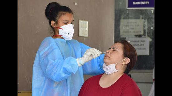 A resident getting tested for Covid-19 at the civil surgeon’s office in Civil Lines, Ludhiana, on Wednesday. (Gurpreet Singh/HT) A resident getting tested for Covid-19 at the civil surgeon’s office in Civil Lines, Ludhiana, on Wednesday. (Gurpreet Singh/HT)