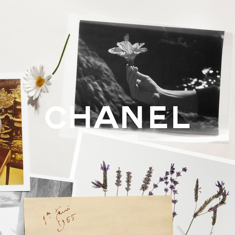 The film of the CHANEL Cruise 2021/22 show at the Carrières de Lumières The film of the CHANEL Cruise 2021/22 show at the Carrières de Lumières