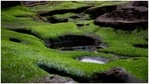 Will your future clothes be made of algae?(Unsplash) Will your future clothes be made of algae?(Unsplash)