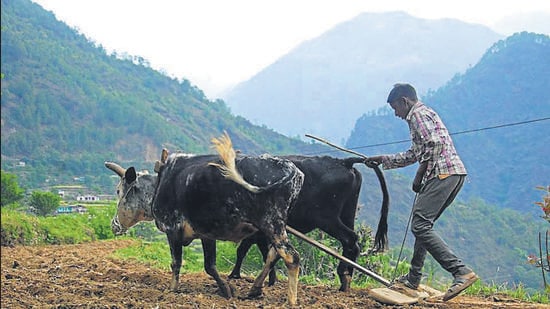 The BJP government in Uttarakhand to make a substantial budgetary allocation for the farm sector in its annual budget 2018-19 The BJP government in Uttarakhand to make a substantial budgetary allocation for the farm sector in its annual budget 2018-19