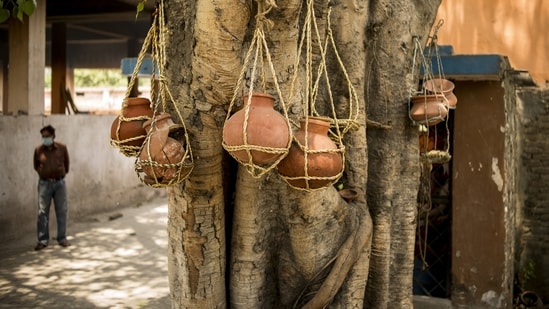Earthen urns containing the ashes of Covid-19 fatalities hang from a tree at a crematorium in Moradabad, Uttar Pradesh.(Bloomberg)