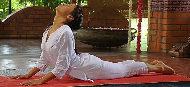 Bhujangasana or Cobra pose of Yoga(Twitter/aol_chennai) Bhujangasana or Cobra pose of Yoga(Twitter/aol_chennai)
