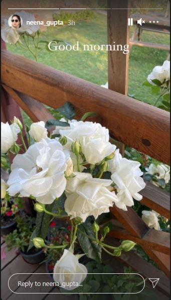 Neena Gupta shared a picture of white roses from her garden.