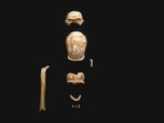 This image released by the Italian Culture Ministry shows fossil findings that were discovered in a cave near Rome. This image released by the Italian Culture Ministry shows fossil findings that were discovered in a cave near Rome.