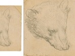 Leonardo da Vinci's 'Head of Bear' drawing may fetch over $16 million at auction