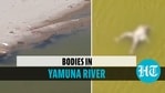 Bodies spotted by Hamirpur locals Bodies spotted by Hamirpur locals